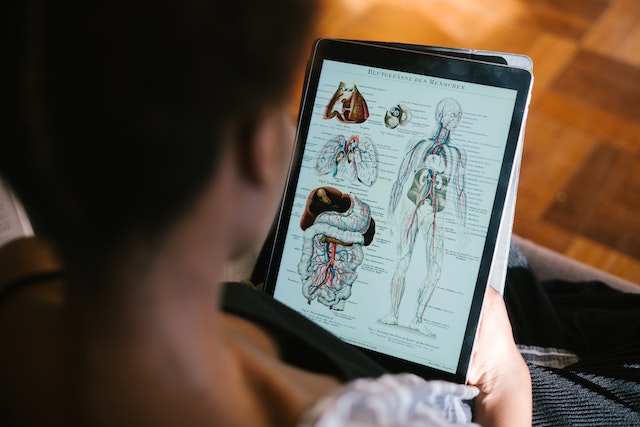 A woman looking at a picture of human anatomy.